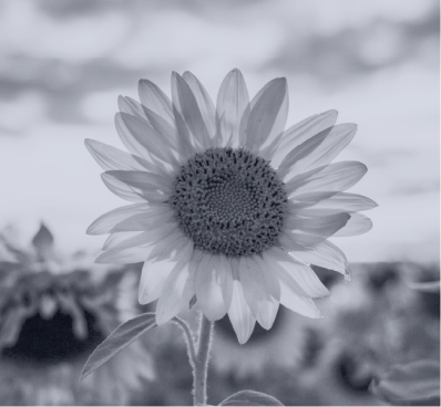 Helping People Thrive